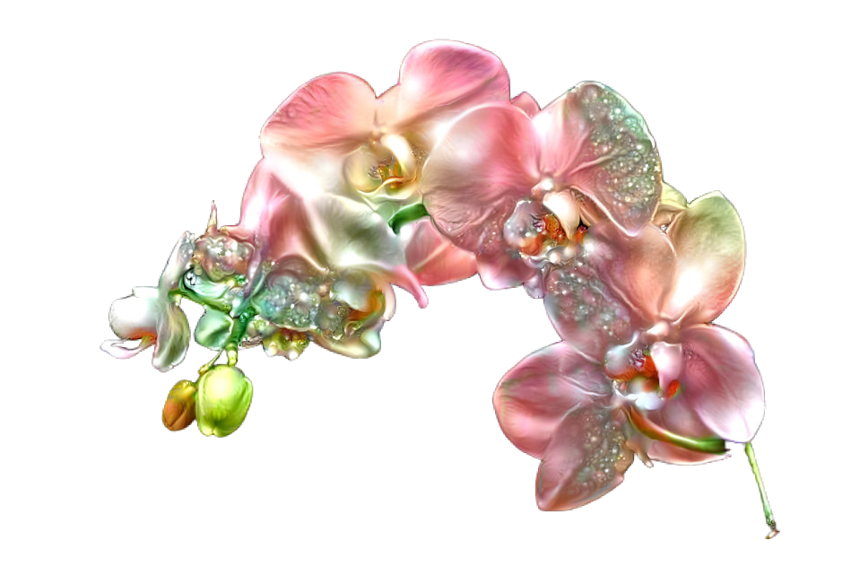 Pearl Orchid Spray