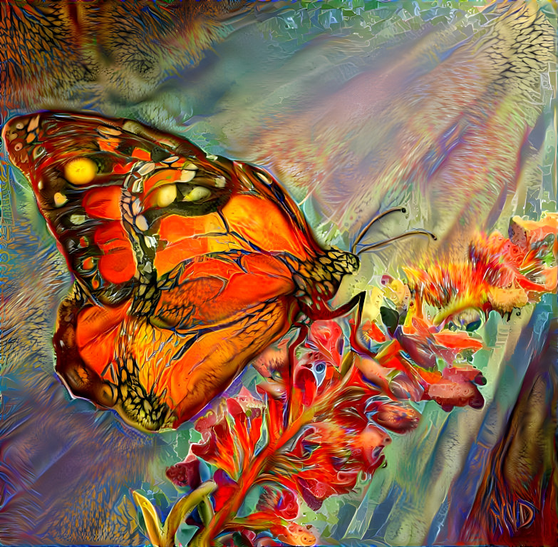 Monarch butterfly 
