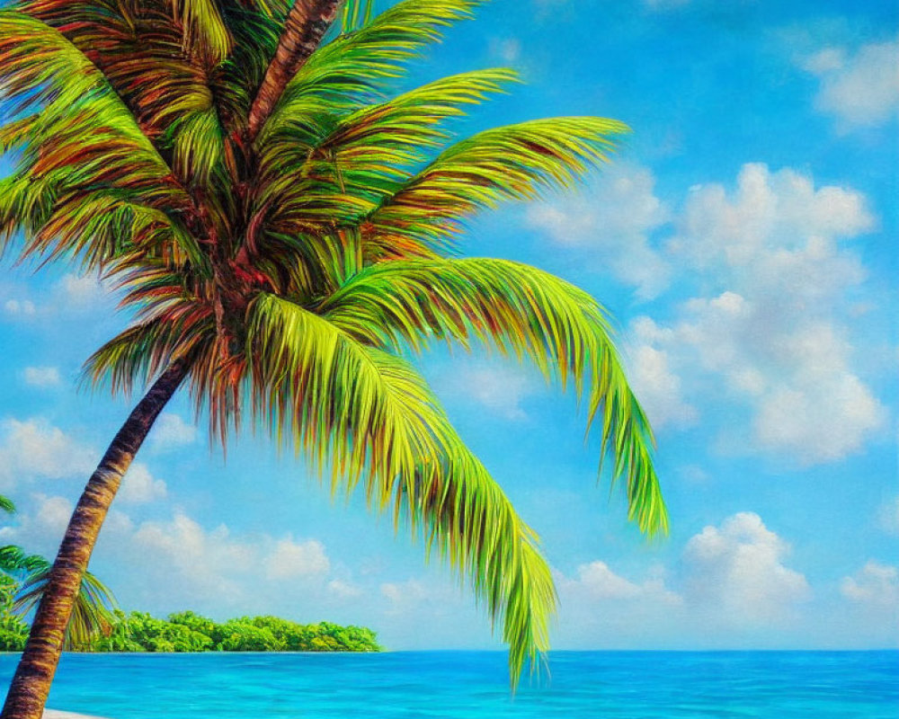 Tropical Beach Scene with Palm Tree on White Sandy Shore