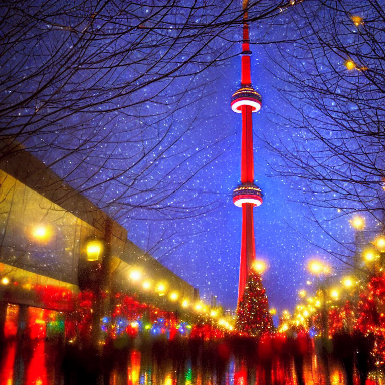 Illuminated tower and Christmas tree in night scene