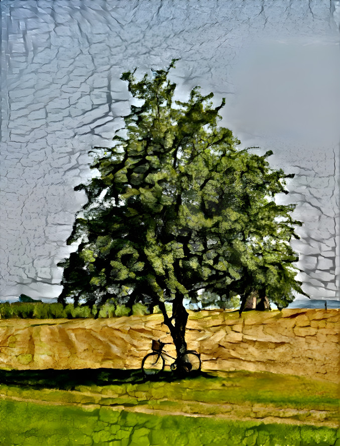 Cracked Tree