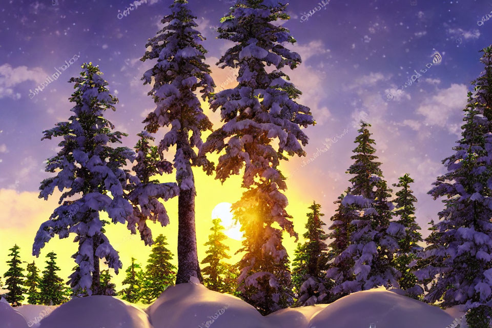 Winter scene: Snow-covered pine trees at sunset with purple skies and falling snowflakes