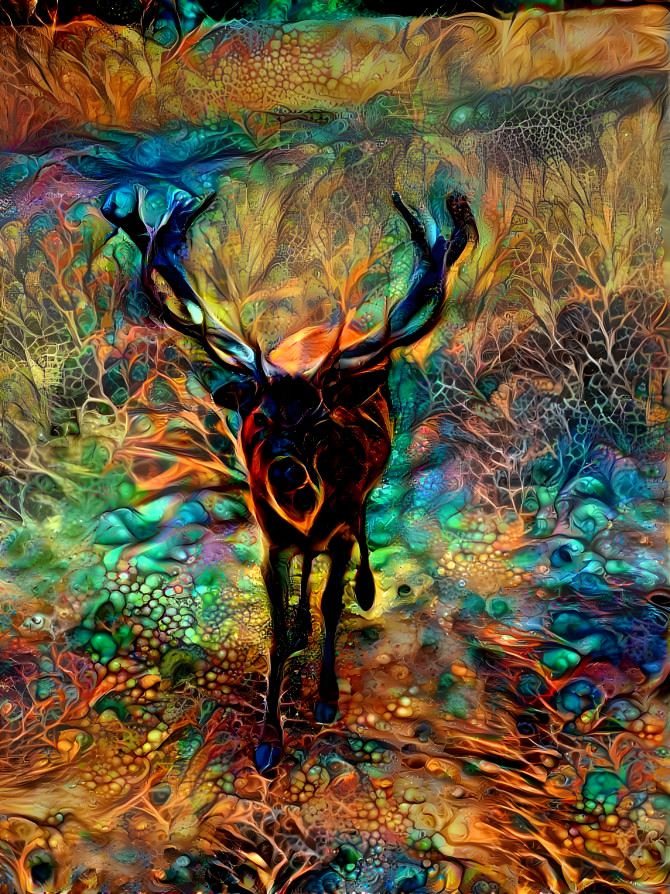 A Flamboyant young stag