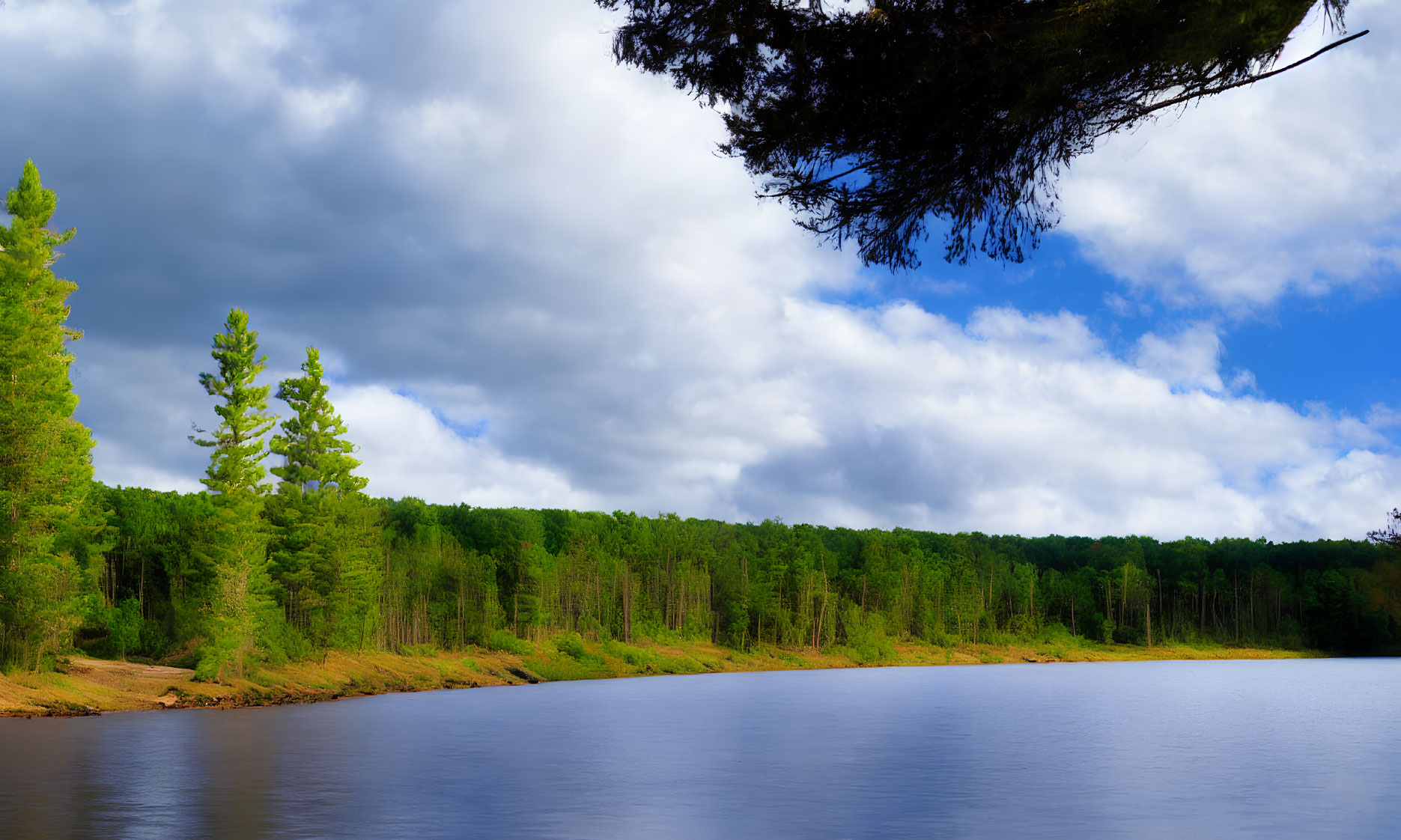 Tranquil lake with forest reflection under blue sky and pine branch.