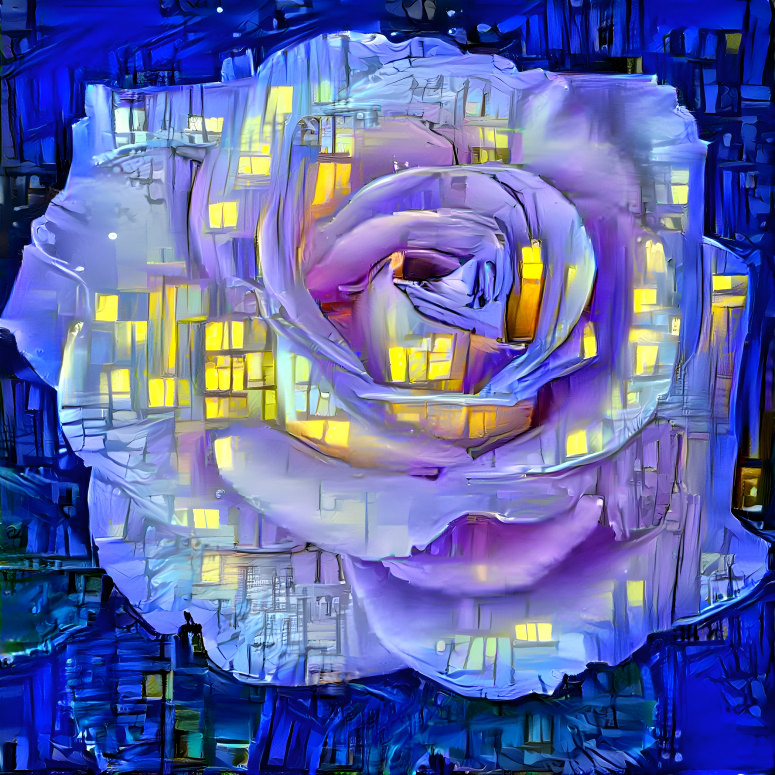 Twilight Window Rose
