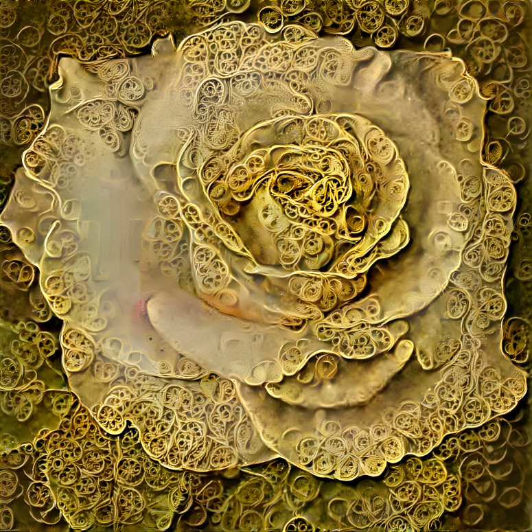 Golden Swirl Rose