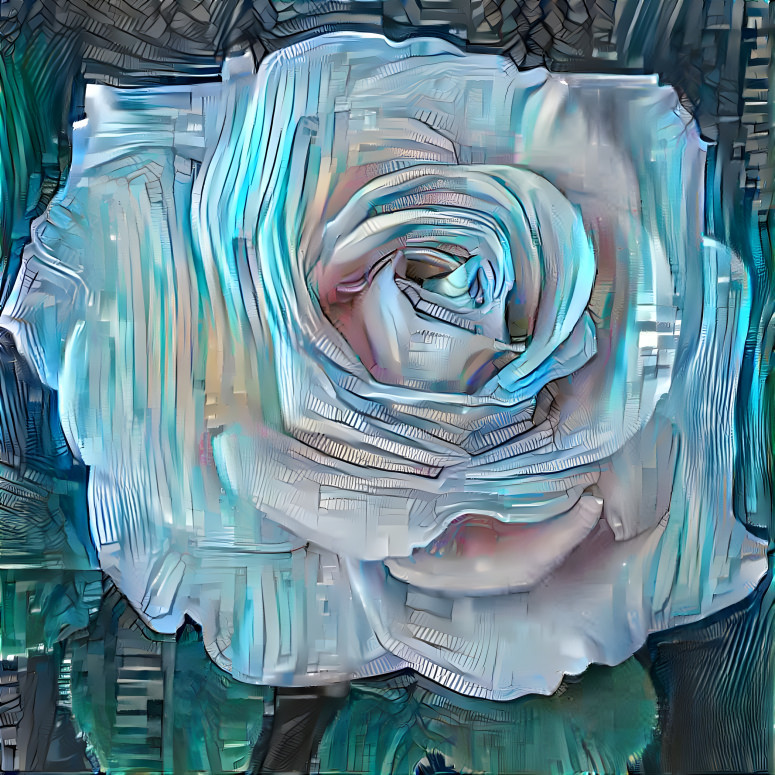 Ocean Lined Rose