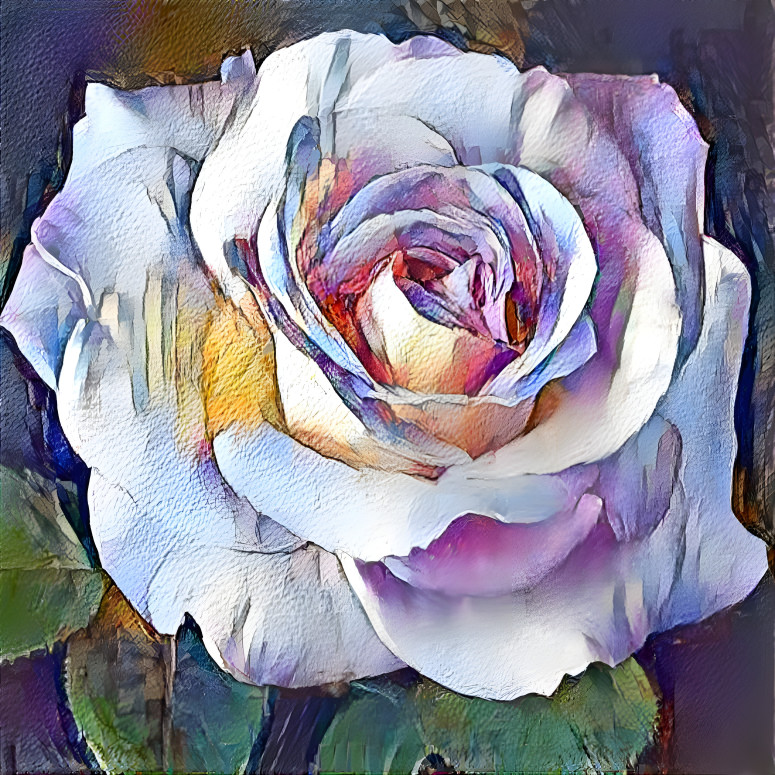 Texture Rose