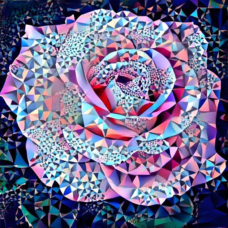 Optical Illusion Rose
