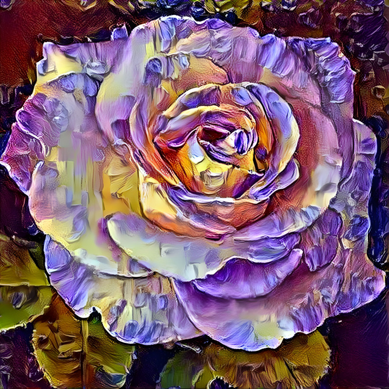 Purple Yellow Rose