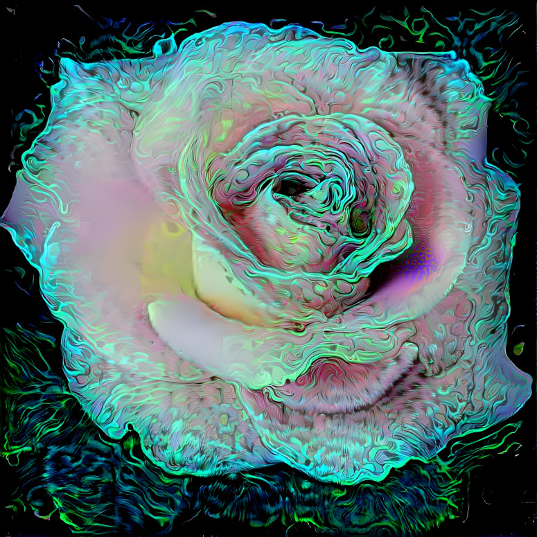 Majestic Rose