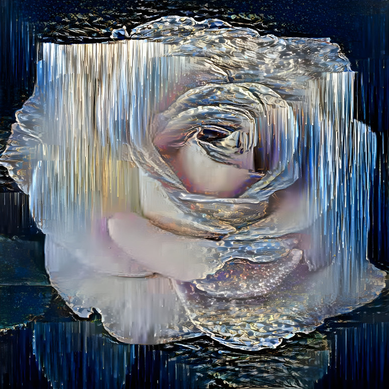 Silver Waterfall Rose