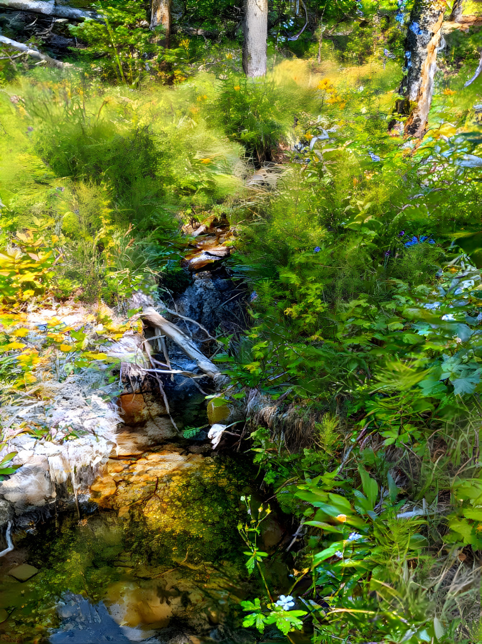 The Little Forest Stream(high quality)