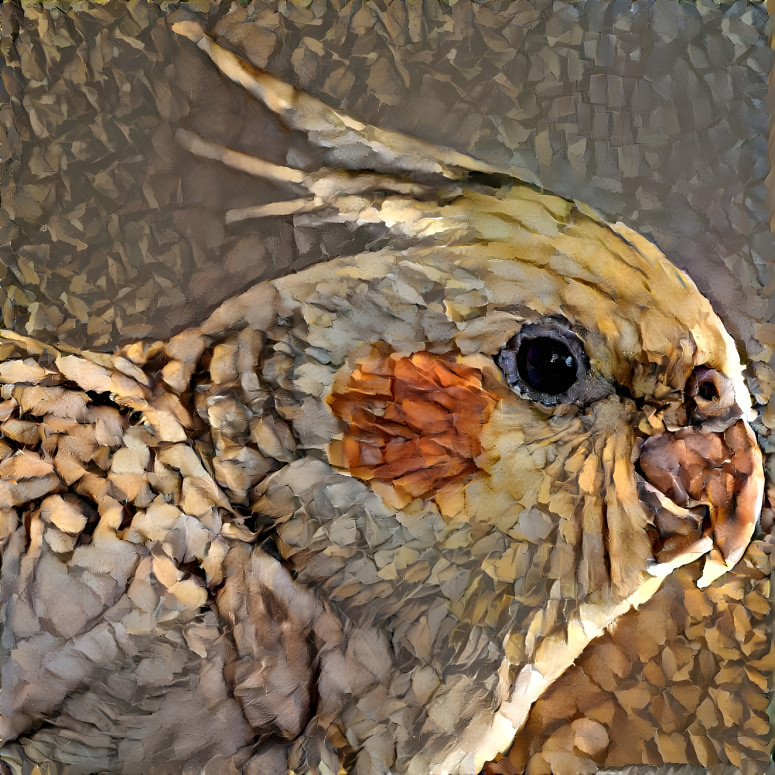 The Wooden Cockatiel
