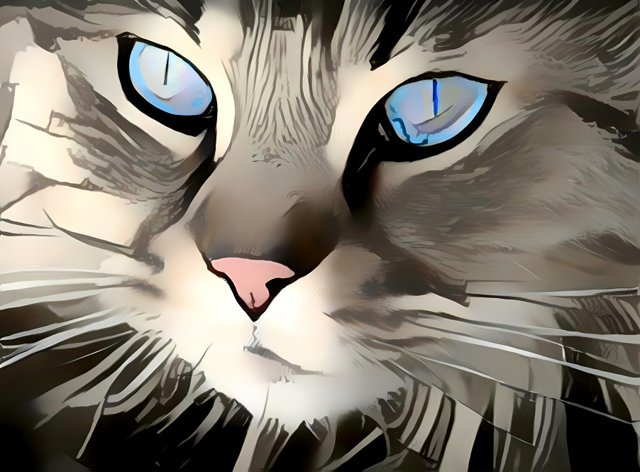 Blue Eyed Cat #1