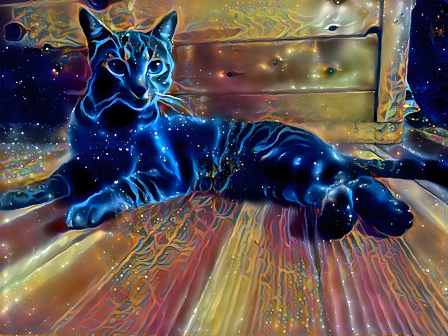 Cosmic meow 