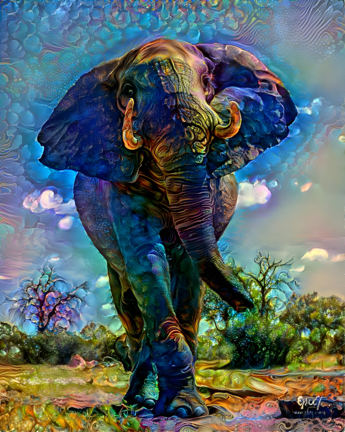 colored elephant