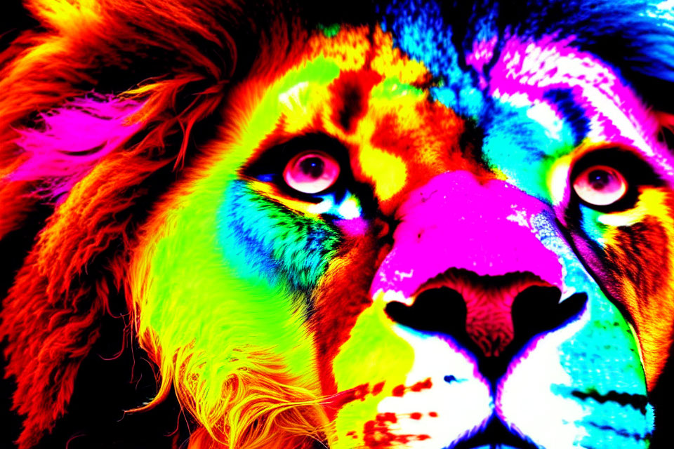 Colorful Lion Face in Vibrant Rainbow Hues