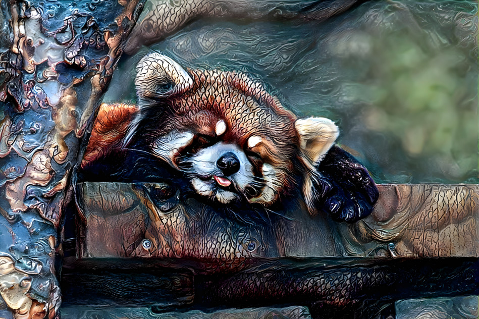 Red panda cuteness