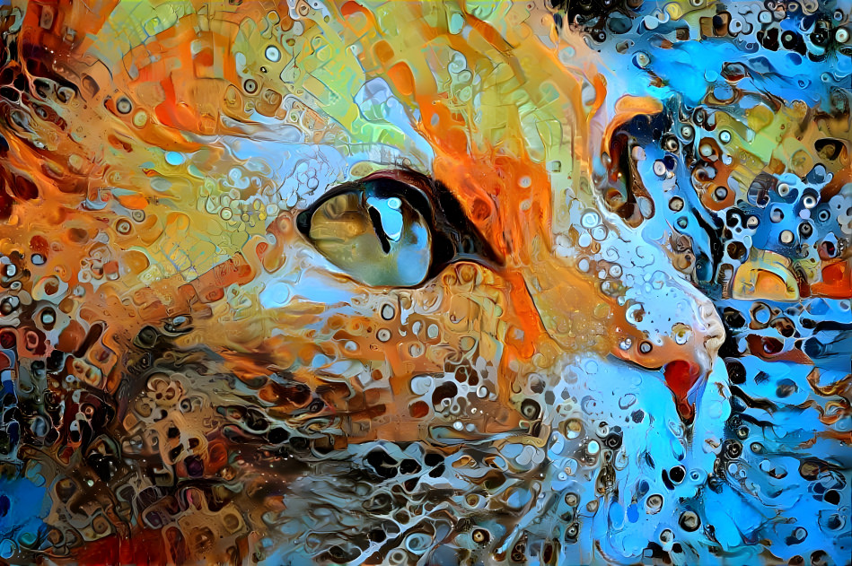 Kitty in waves of color