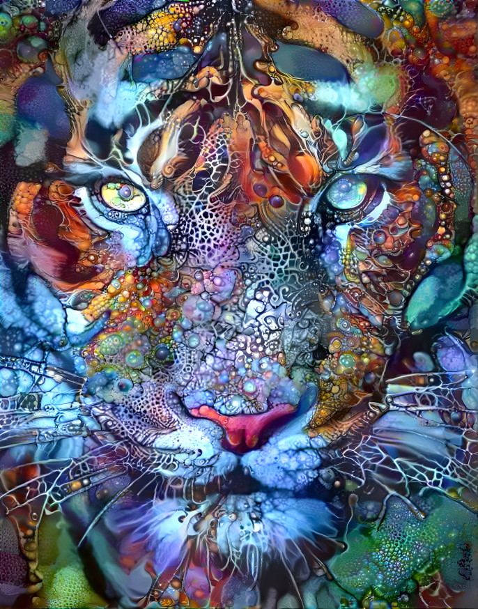 Tiger beauty 