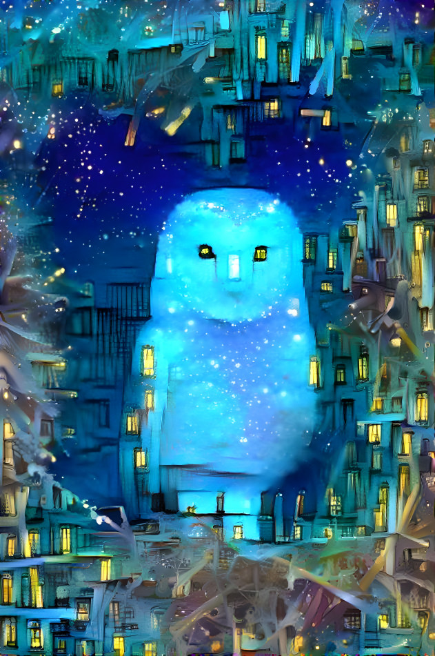 City owl