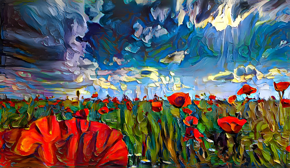 Acrylic poppy field