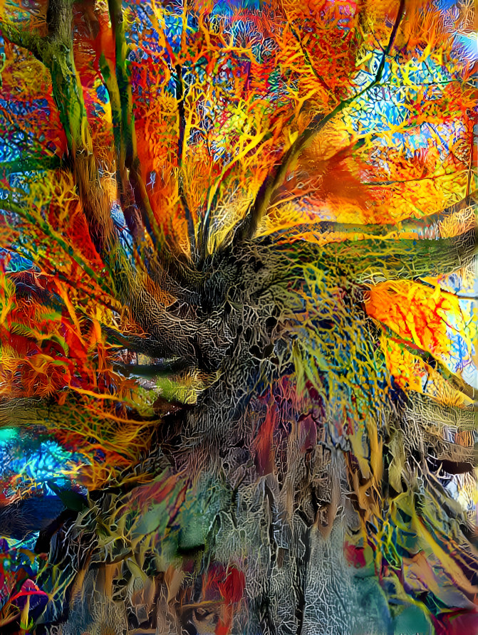 Beautiful tree of colors
