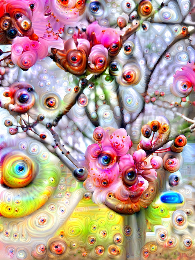 Psychic Cherry Blossoms
