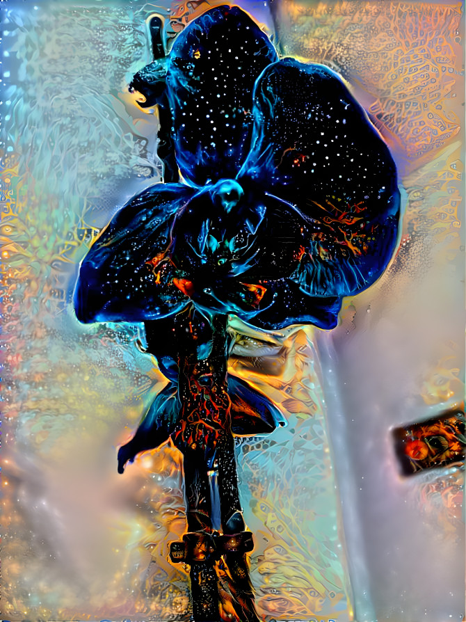 Blue orchidée 