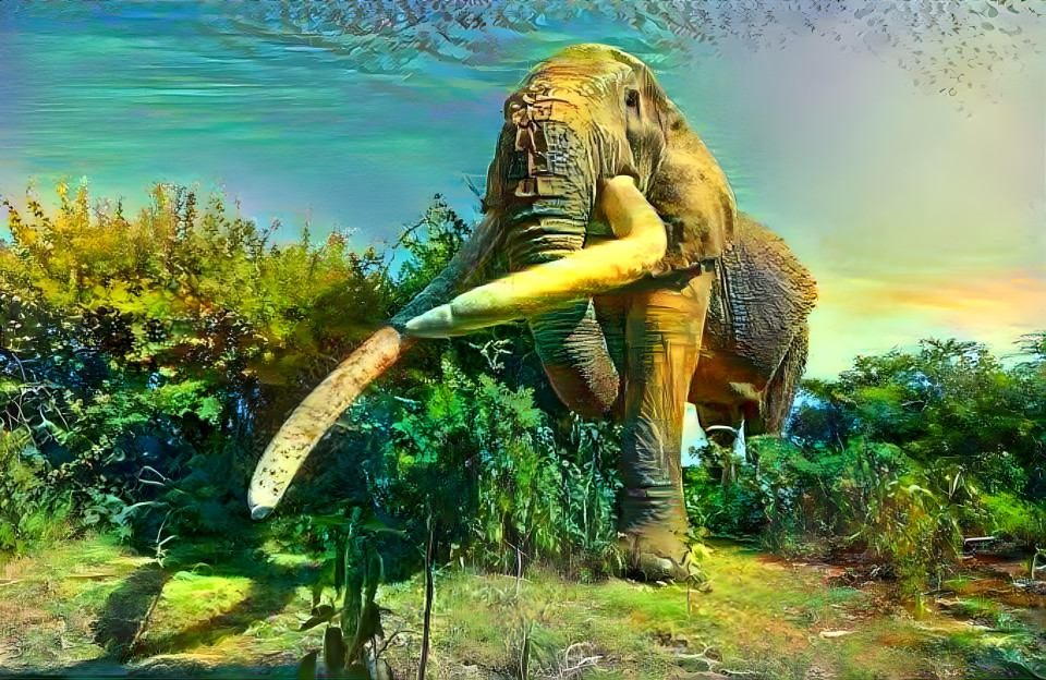 Elephantastic 