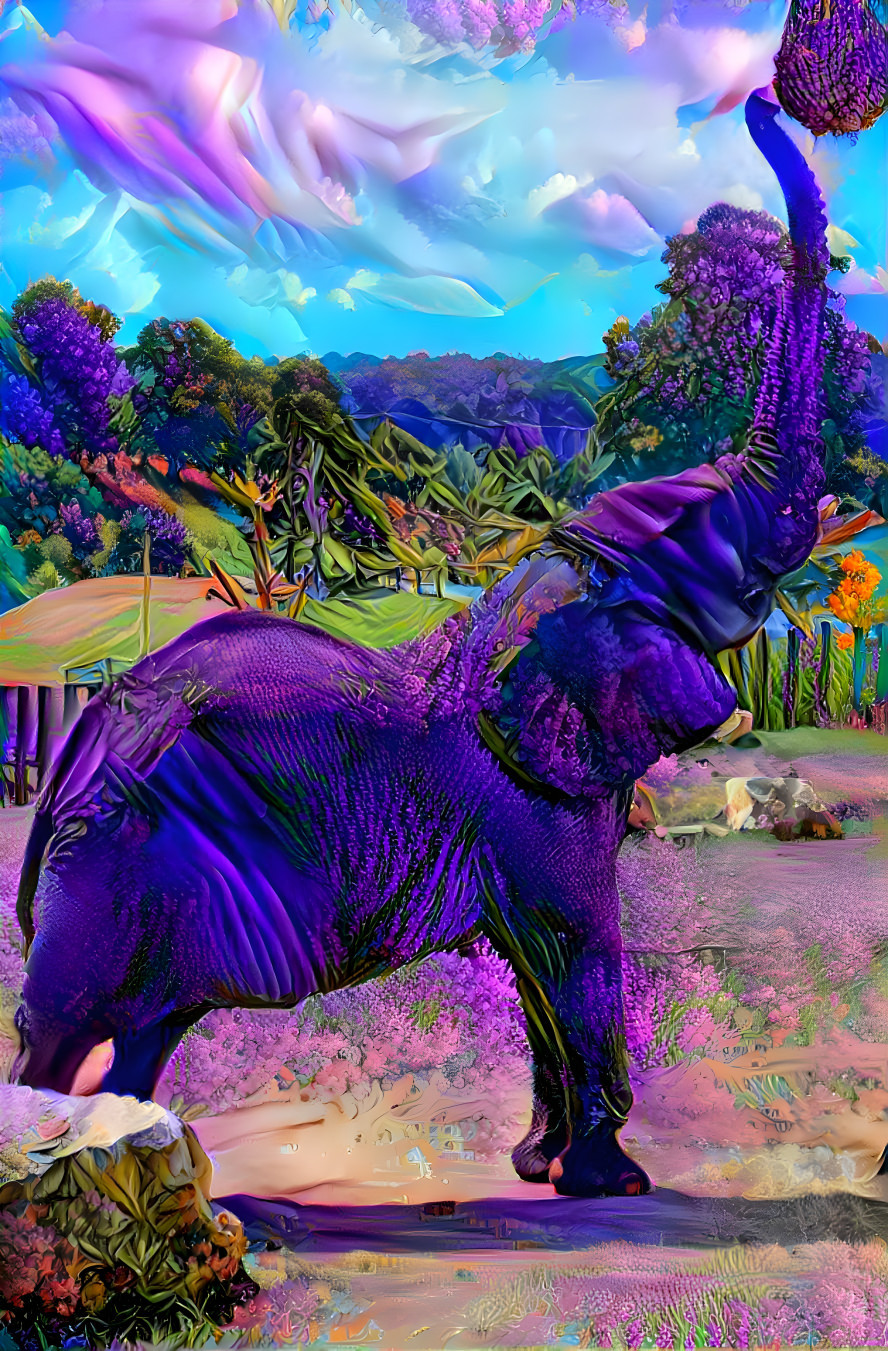 Elephantastic Purple Haze