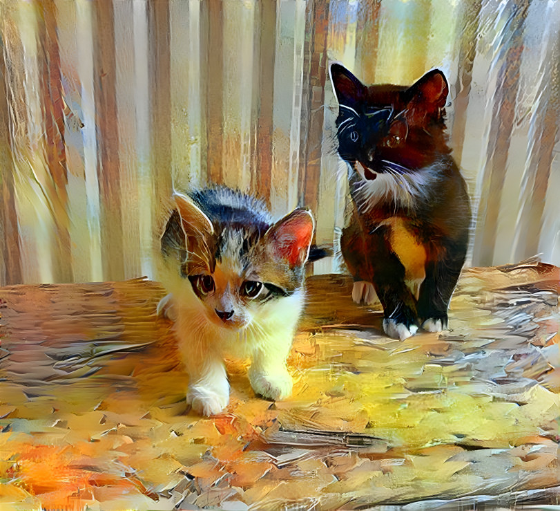 Purrfect Kitties