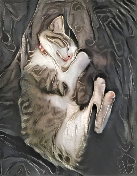 Cozy Rosie kitten