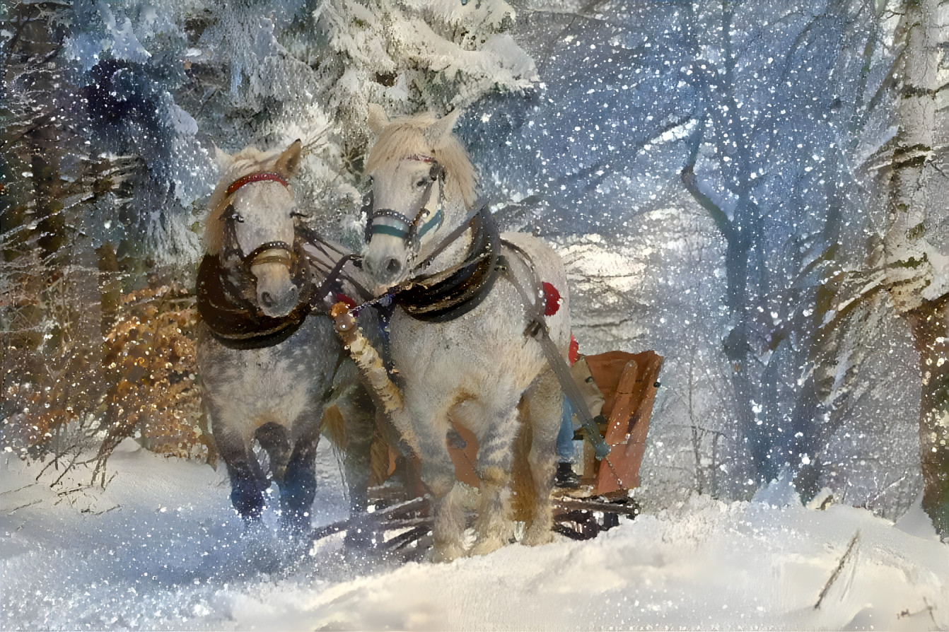 A sleigh ride in the snow