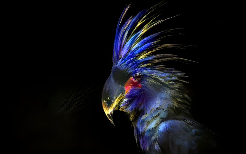 Fractal Parrot