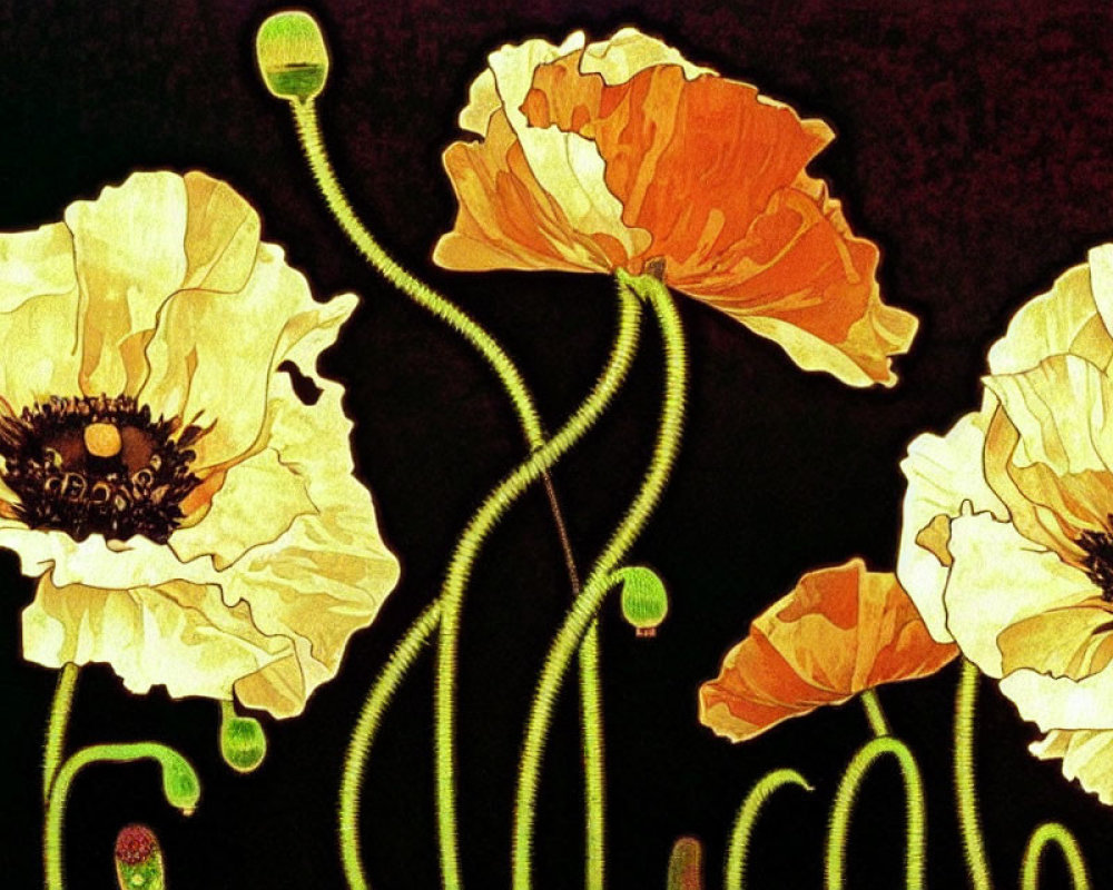 Stylized poppy flowers with elongated stems in vibrant colors