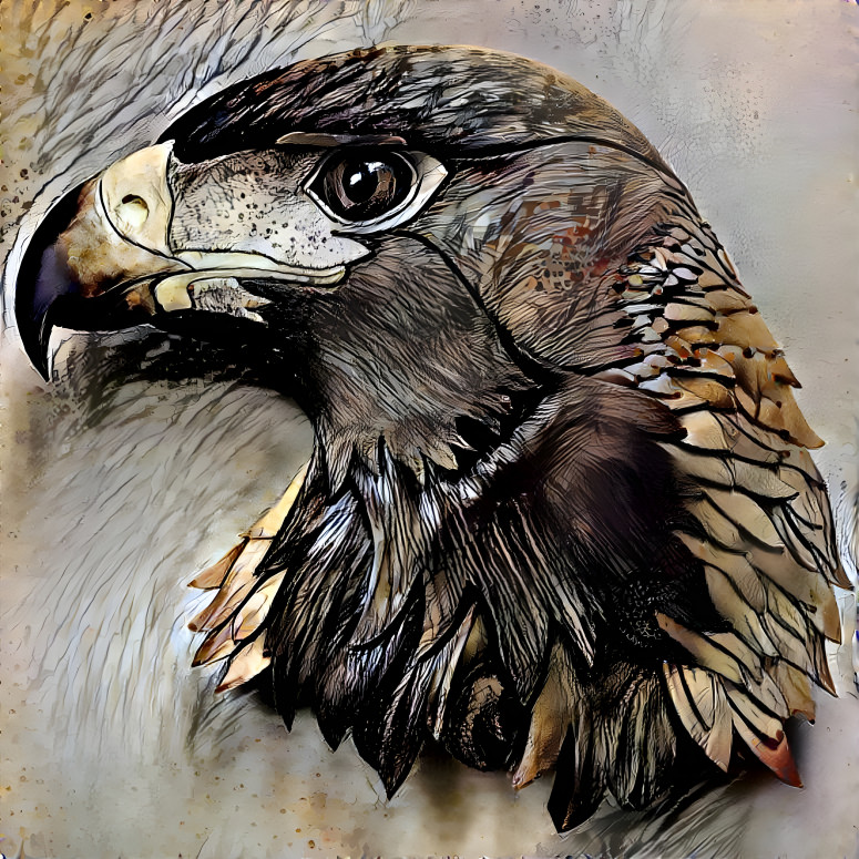 the Eagle