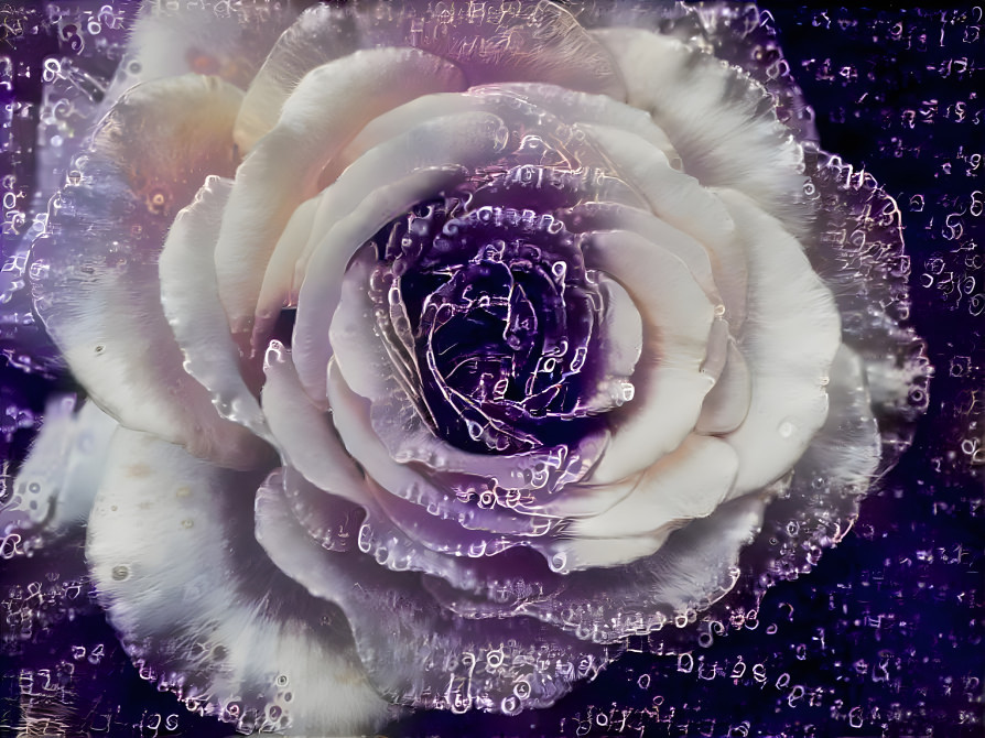 textual rose