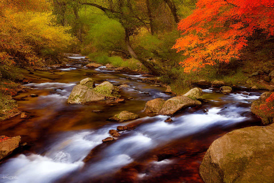 Tranquil stream with autumn foliage in red, orange, and green