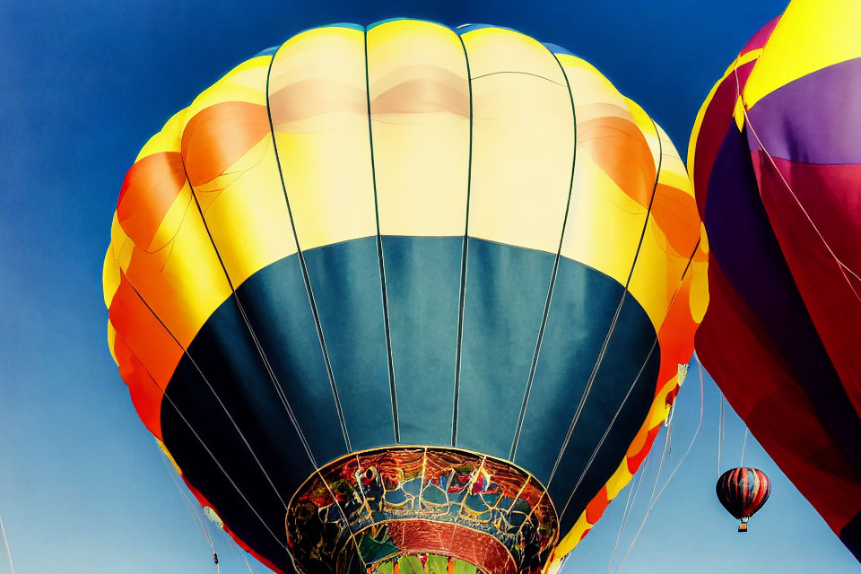Vibrant hot air balloons in blue sky scene