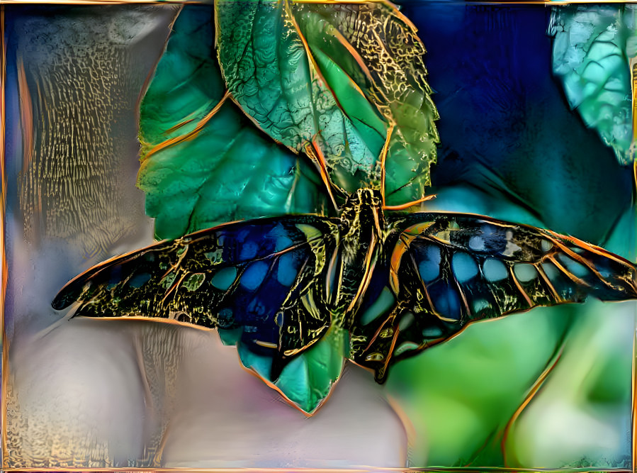 Butterfly Blues...