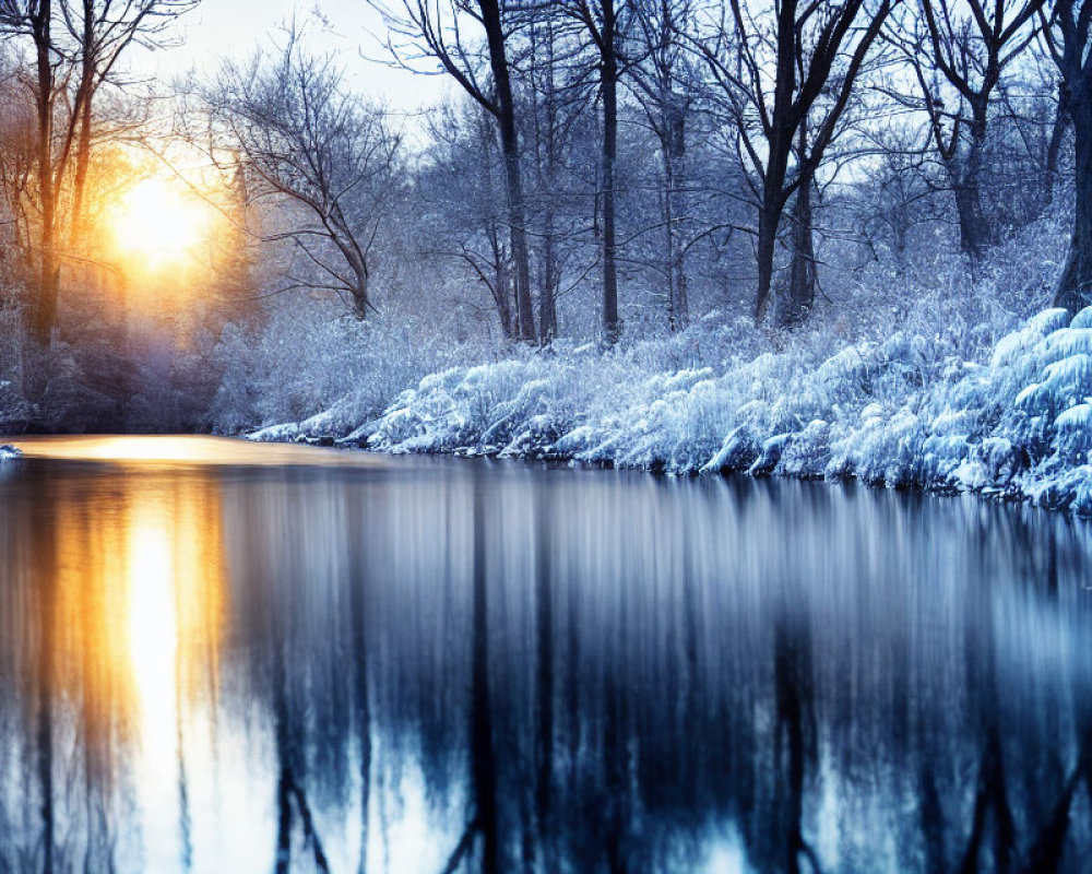 Snowy riverbank at sunset with trees and serene water