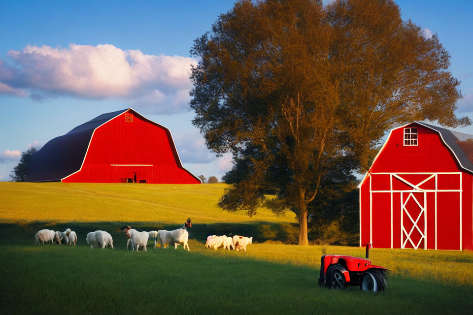 Rural landscape with red barn, sheep, tree, tractor, and golden hour sky
