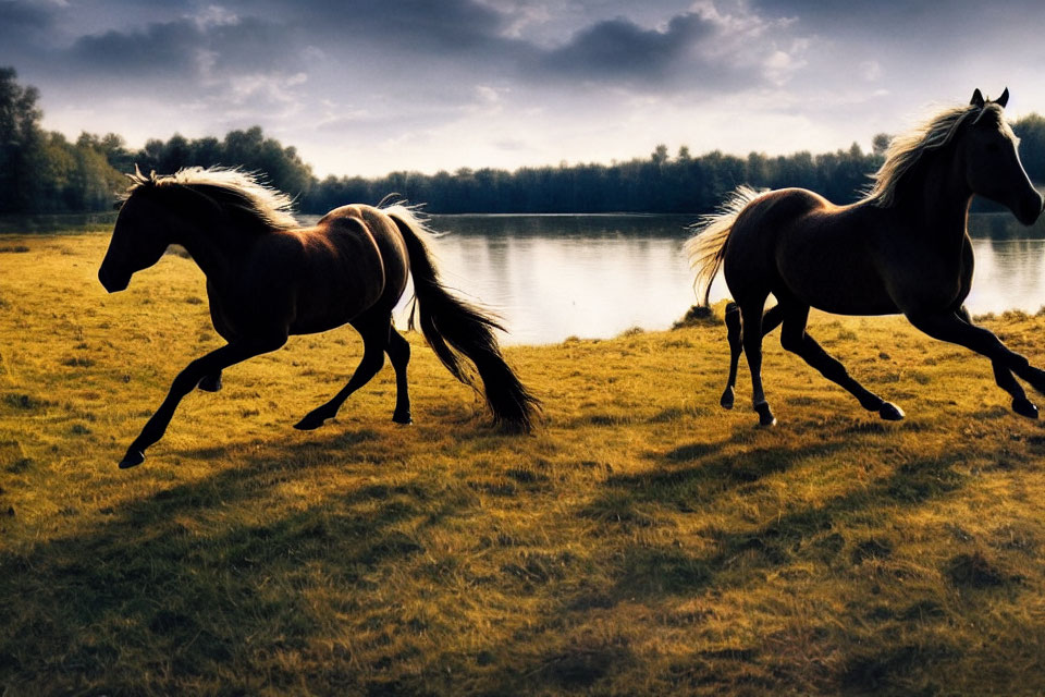 Galloping horses near lake with trees and dramatic sky