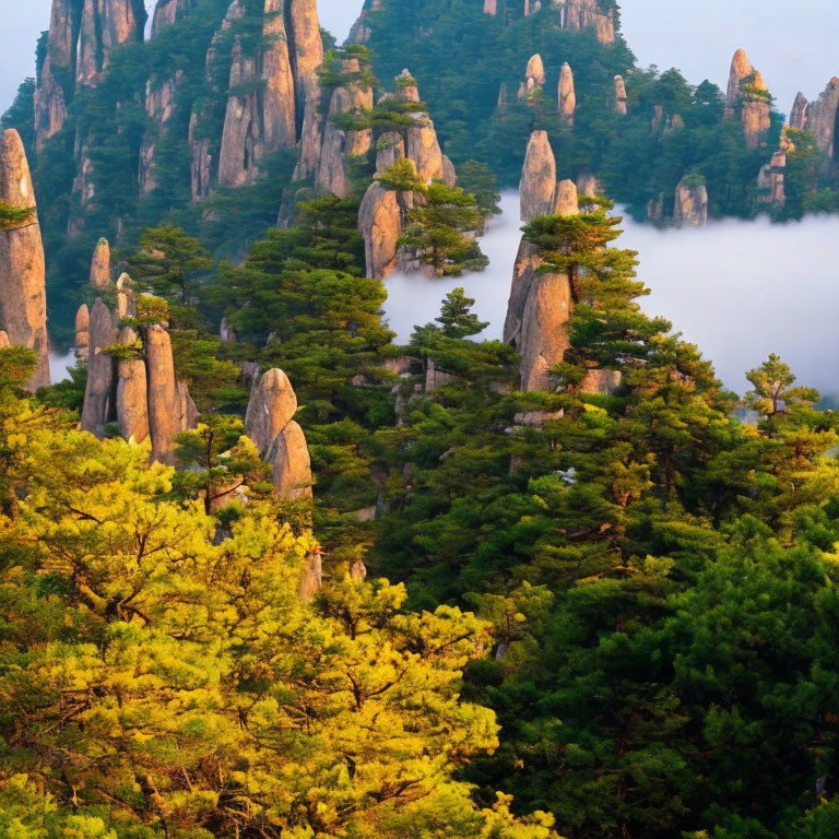 Rocky spires towering over misty forest with sunlight on foliage
