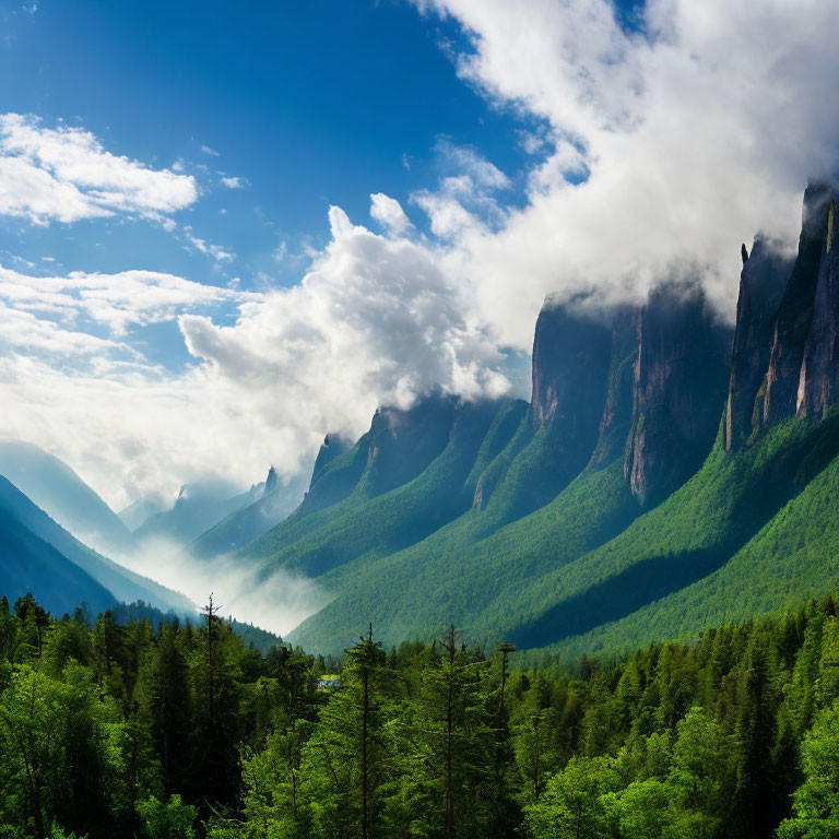 Panoramic view of lush green forest and misty cliffs under blue sky