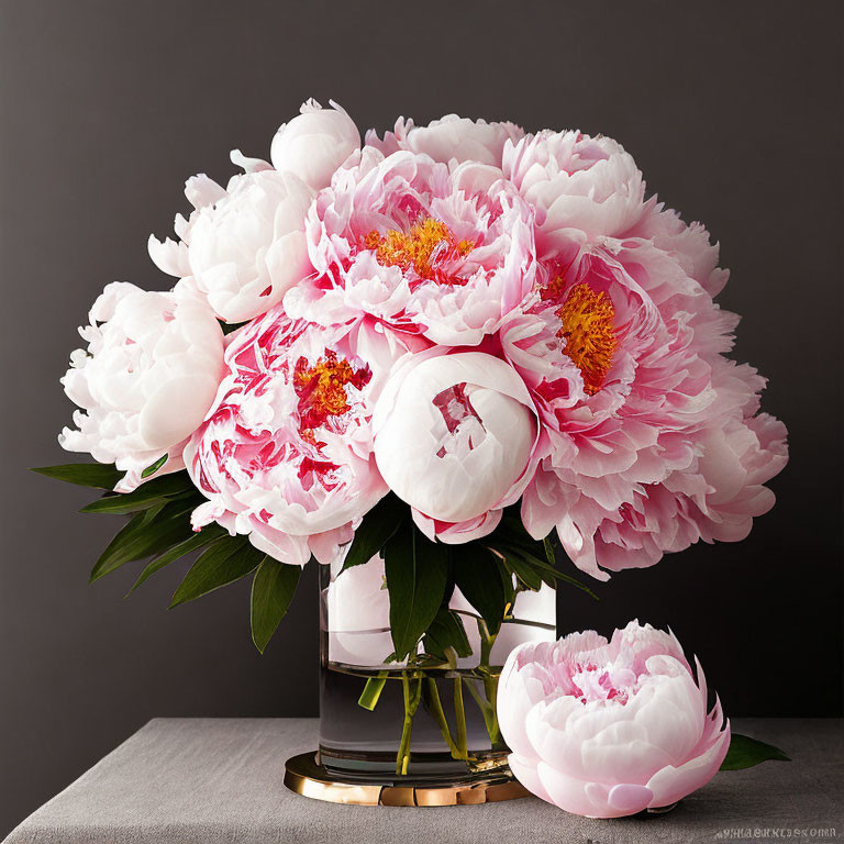 Pink and White Peonies in Dark Vase on Gray Surface
