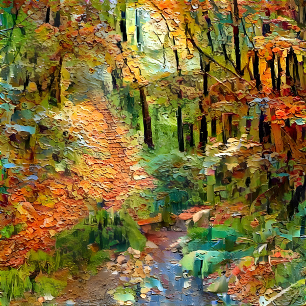 road and river in forest
