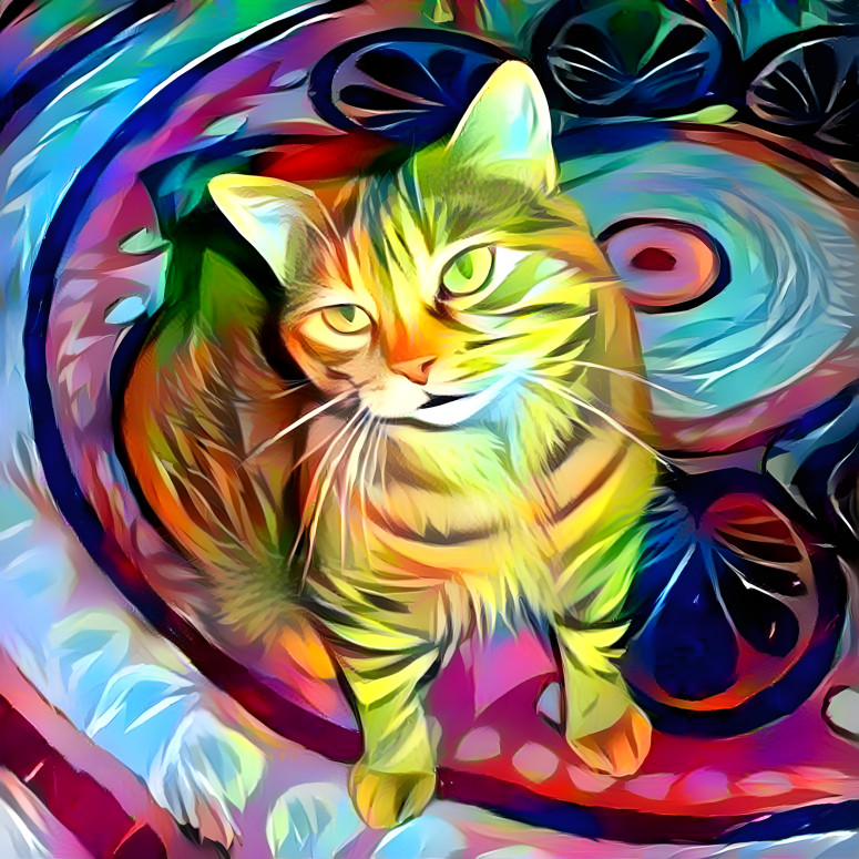 Rainbow Cat                                       